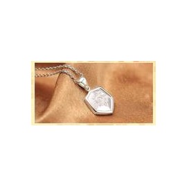 Colgante Digimon Adventure Escudo Wagreymon (Plateado)-JuguetesSol-Anime